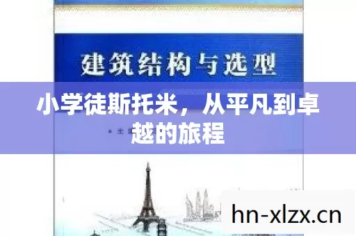 小学徒斯托米,从平凡到卓越的旅程 小学徒斯托米,从平凡到卓越的旅程