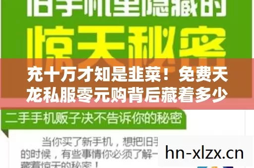 免费天龙私服零元购背后藏着多少惊天隐情图片