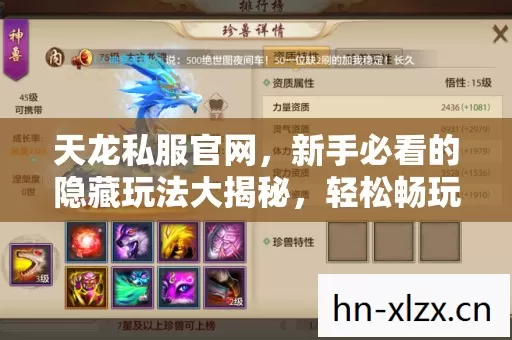 天龙私服官网，新手必看的隐藏玩法大揭秘，轻松畅玩天龙八部私服天龙私服