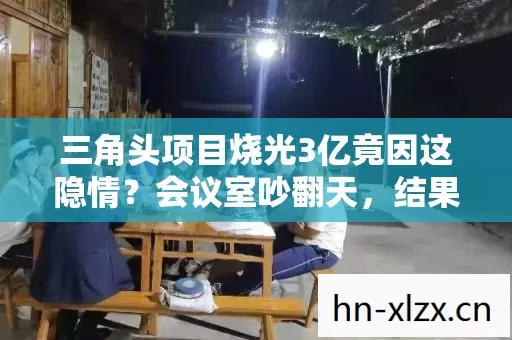 三角头项目烧光3亿竟因这隐情?会议室吵翻天,结果让人吓一跳! 三角头项目烧光3亿竟因这隐情?会议室吵翻天,结果让人吓一跳!