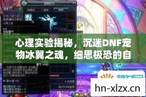 心理实验揭秘，沉迷DNF宠物冰翼之魂，细思极恐的自我囚禁