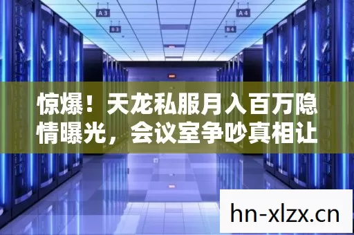 天龙私服月入百万隐情曝光图片