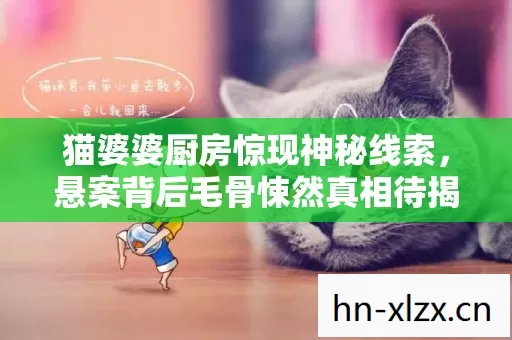 猫婆婆厨房惊现神秘线索,悬案背后毛骨悚然真相待揭! 猫婆婆厨房惊现神秘线索,悬案背后毛骨悚然真相待揭!