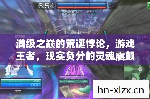 满级之巅的荒诞悖论图片