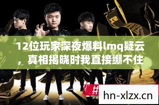 12位玩家深夜爆料lmq疑云,真相揭晓时我直接绷不住了! 12位玩家深夜爆料lmq疑云,真相揭晓时我直接绷不住了!