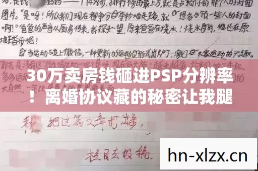 30万卖房钱砸进PSP分辨率!离婚协议藏的秘密让我腿软 30万卖房钱砸进PSP分辨率!离婚协议藏的秘密让我腿软