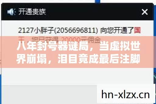 八年封号器谜局，当虚拟世界崩塌，泪目竟成最后注脚