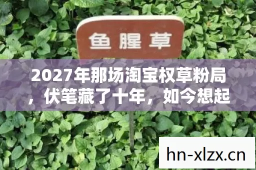 2027年那场淘宝权草粉局，伏笔藏了十年，如今想起鼻子一酸