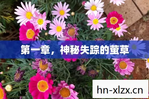 第一章，神秘失踪的萤草