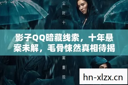 影子QQ暗藏线索,十年悬案未解,毛骨悚然真相待揭! 影子QQ暗藏线索,十年悬案未解,毛骨悚然真相待揭!