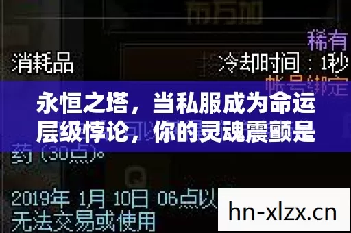 永恒之塔,当私服成为命运层级悖论,你的灵魂震颤是自由还是枷锁? 永恒之塔,当私服成为命运层级悖论,你的灵魂震颤是自由还是枷锁?