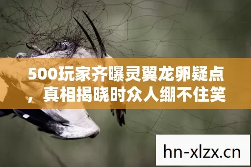 500玩家齐曝灵翼龙卵疑点，真相揭晓时众人绷不住笑场！