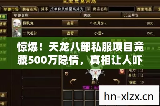 惊爆!天龙八部私服项目竟藏500万隐情,真相让人吓一跳! 惊爆!天龙八部私服项目竟藏500万隐情,真相让人吓一跳!