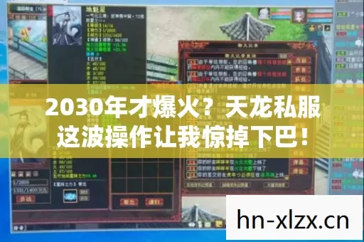2030年才爆火?天龙私服这波操作让我惊掉下巴! 2030年才爆火?天龙私服这波操作让我惊掉下巴!