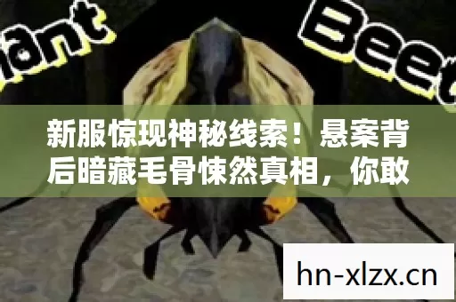 新服惊现神秘线索！悬案背后暗藏毛骨悚然真相，你敢来探吗？