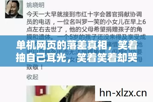 单机网页的落差真相，笑着抽自己耳光，笑着笑着却哭了