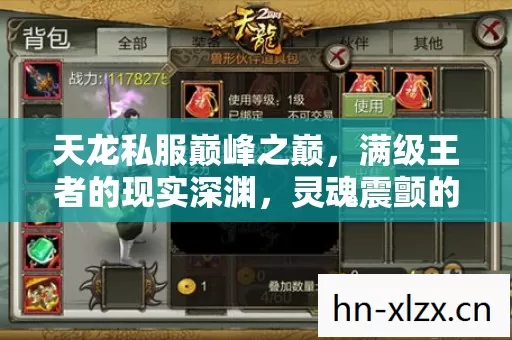 天龙私服巅峰之巅，满级王者的现实深渊，灵魂震颤的悖论人生