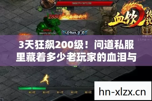 3天狂飙200级！问道私服里藏着多少老玩家的血泪与执念？