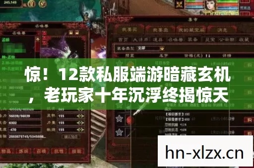惊!12款私服端游暗藏玄机,老玩家十年沉浮终揭惊天秘密 惊!12款私服端游暗藏玄机,老玩家十年沉浮终揭惊天秘密