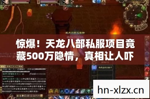 天龙八部私服项目竟藏500万隐情图片