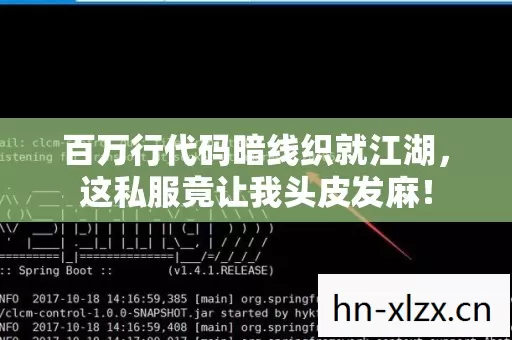 百万行代码暗线织就江湖，这私服竟让我头皮发麻！