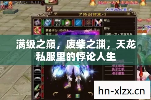 满级之巅,废柴之渊,天龙私服里的悖论人生 满级之巅,废柴之渊,天龙私服里的悖论人生