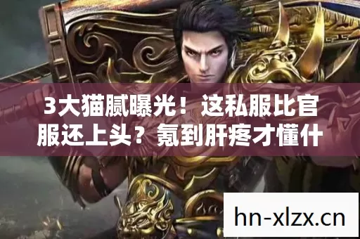 3大猫腻曝光!这私服比官服还上头?氪到肝疼才懂什么叫冤种 3大猫腻曝光!这私服比官服还上头?氪到肝疼才懂什么叫冤种