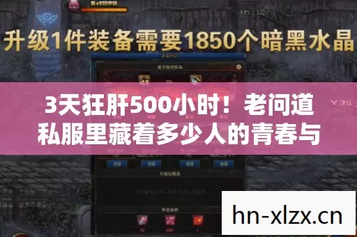 3天狂肝500小时!老问道私服里藏着多少人的青春与眼泪? 3天狂肝500小时!老问道私服里藏着多少人的青春与眼泪?