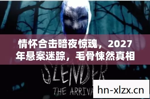 情怀合击暗夜惊魂,2027年悬案迷踪,毛骨悚然真相等你揭晓 情怀合击暗夜惊魂,2027年悬案迷踪,毛骨悚然真相等你揭晓