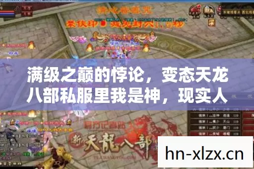 变态天龙八部私服里我是神图片