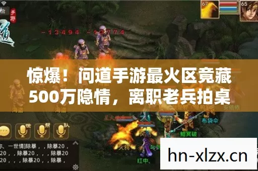 问道手游最火区竟藏500万隐情图片