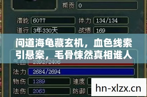 问道海龟藏玄机,血色线索引悬案,毛骨悚然真相谁人知? 问道海龟藏玄机,血色线索引悬案,毛骨悚然真相谁人知?