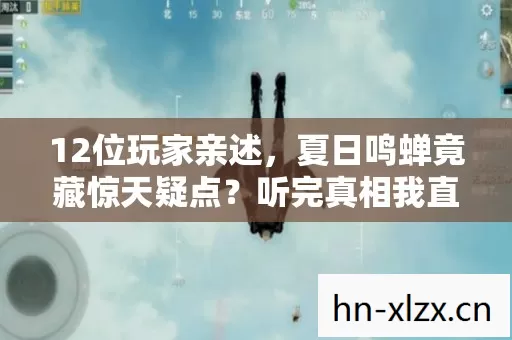 12位玩家亲述,夏日鸣蝉竟藏惊天疑点?听完真相我直接绷不住了! 12位玩家亲述,夏日鸣蝉竟藏惊天疑点?听完真相我直接绷不住了!
