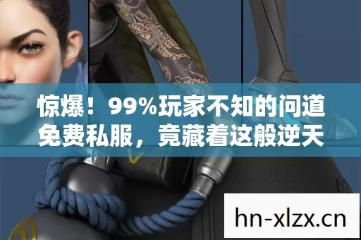 玩家不知的问道免费私服图片