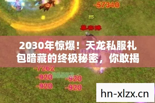 2030年惊爆!天龙私服礼包暗藏的终极秘密,你敢揭开吗? 2030年惊爆!天龙私服礼包暗藏的终极秘密,你敢揭开吗?
