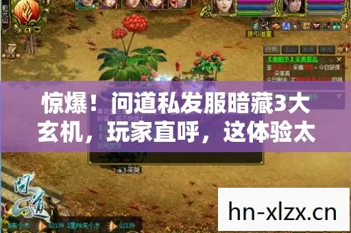 惊爆!问道私发服暗藏3大玄机,玩家直呼,这体验太上头! 惊爆!问道私发服暗藏3大玄机,玩家直呼,这体验太上头!