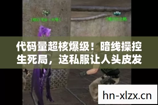 代码量超核爆级!暗线操控生死局,这私服让人头皮发麻的真相 代码量超核爆级!暗线操控生死局,这私服让人头皮发麻的真相